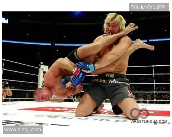 柔术大师挑战崔洪万的巅峰对决引发全网热议与期待